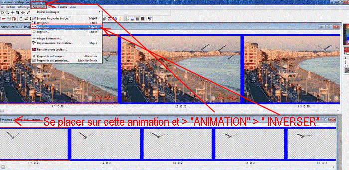 animation - Tuto 6 : Personaliser ou modifier un gif fixe (image) avec Animation Shop Sn3b
