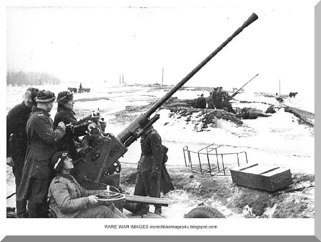 [FRONT EST / WT] Objectif Leningrad ! (Août / Septembre 1941) Ziy2