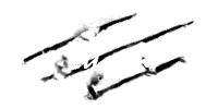 Lycan