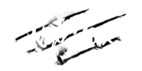 Nephilm