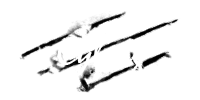 Cyborg