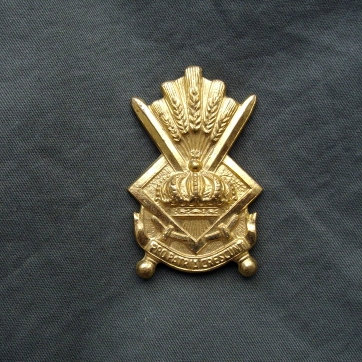 Some belgian beret badges W4e0
