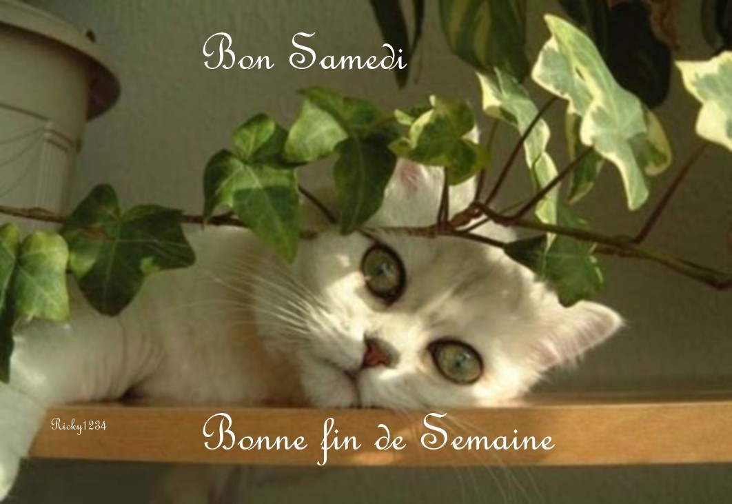 Bon samedi Nm30