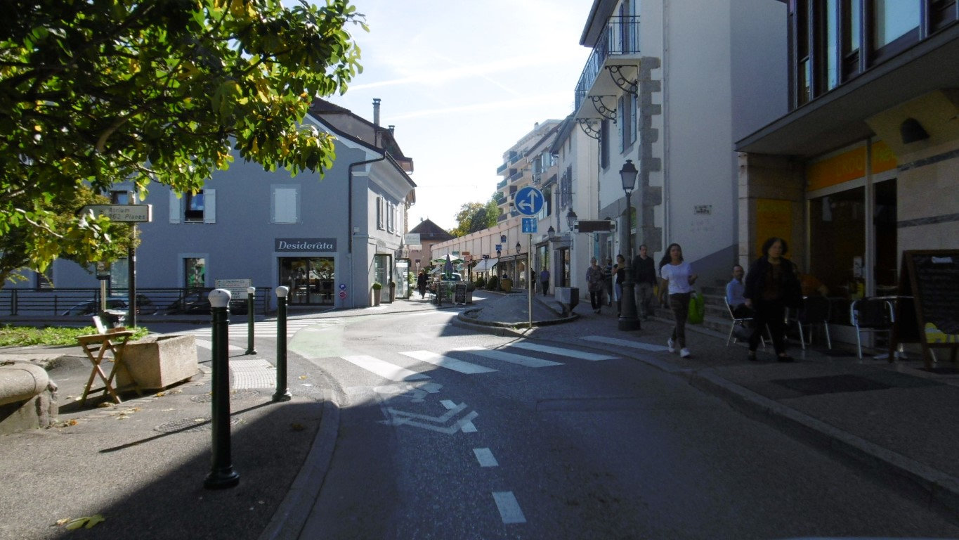 Histoire de la route de Genève à Chambéry. Wh9t