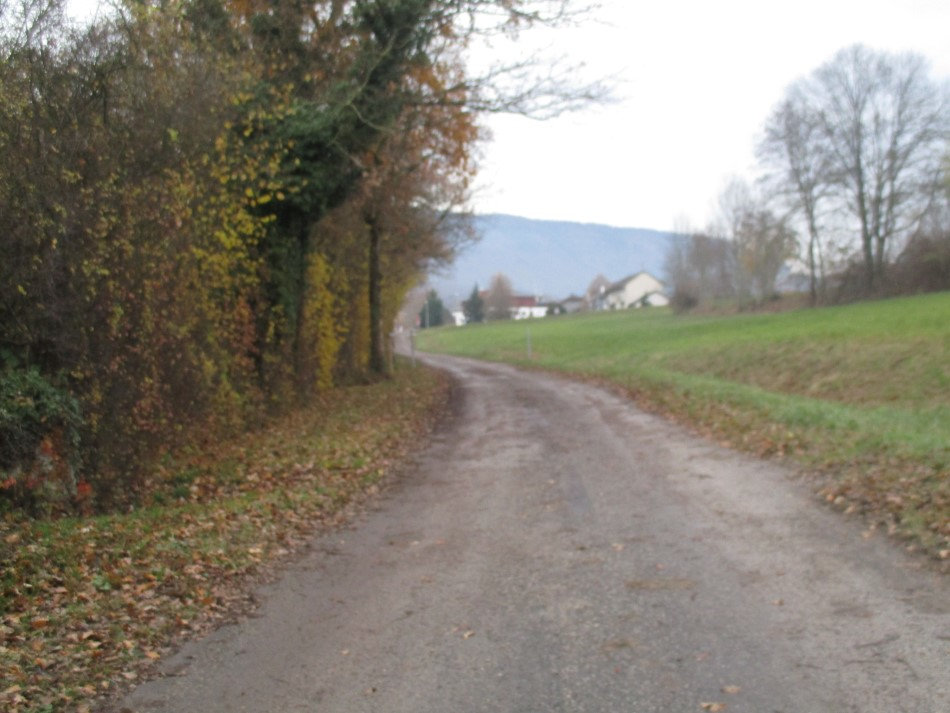 Histoire de la route de Genève à Chambéry. W5rk