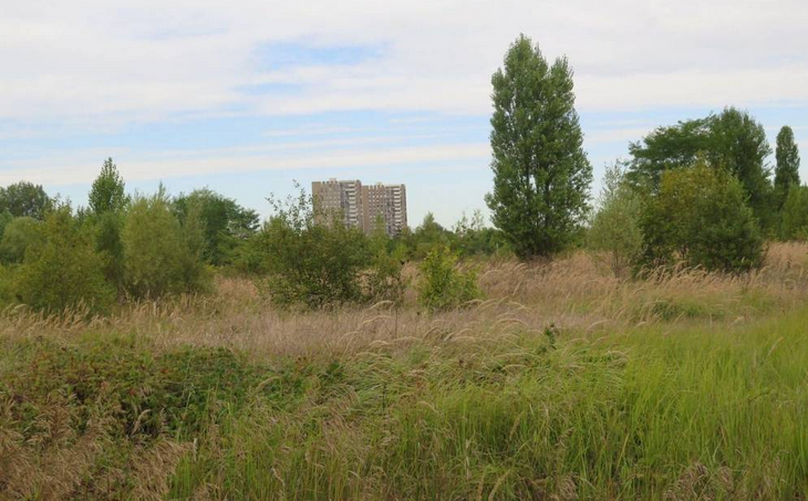 1 000 Ha de colza sans insectides dans l'Yonne.  - Page 5 N8ta