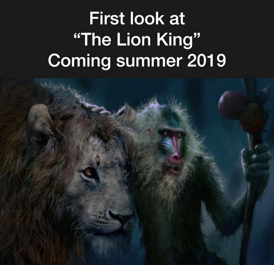 Le Roi Lion - sortie 17 Juillet 2019 Onny