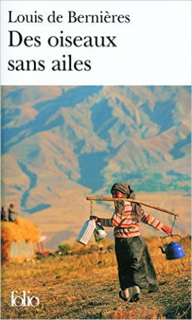 vos1.jpeg