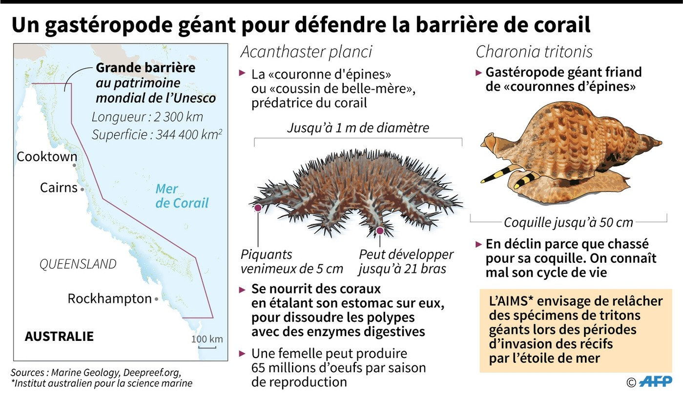 [Jeu] Association d'images - Page 12 K40u