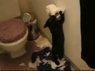 https://zupimages.net/up/18/18/9knt.gif