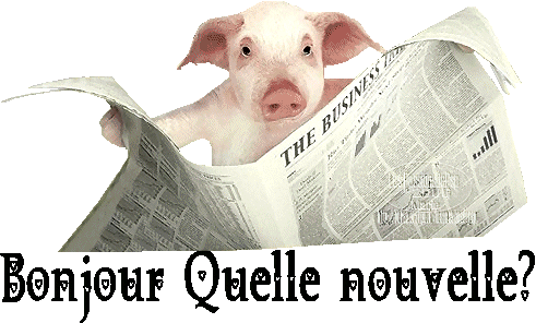 https://zupimages.net/up/18/19/3st4.gif