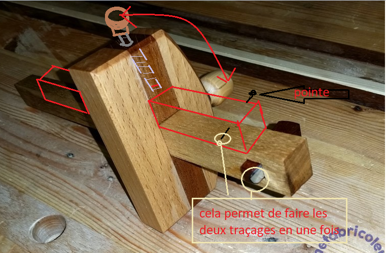 Des trucs de mustélidés en vrac Flnx