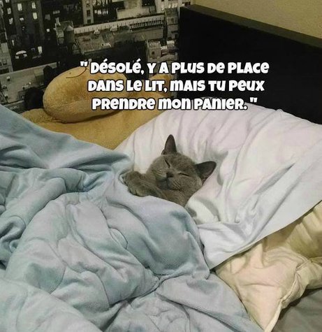 Bon Mercredi A Vous Tous