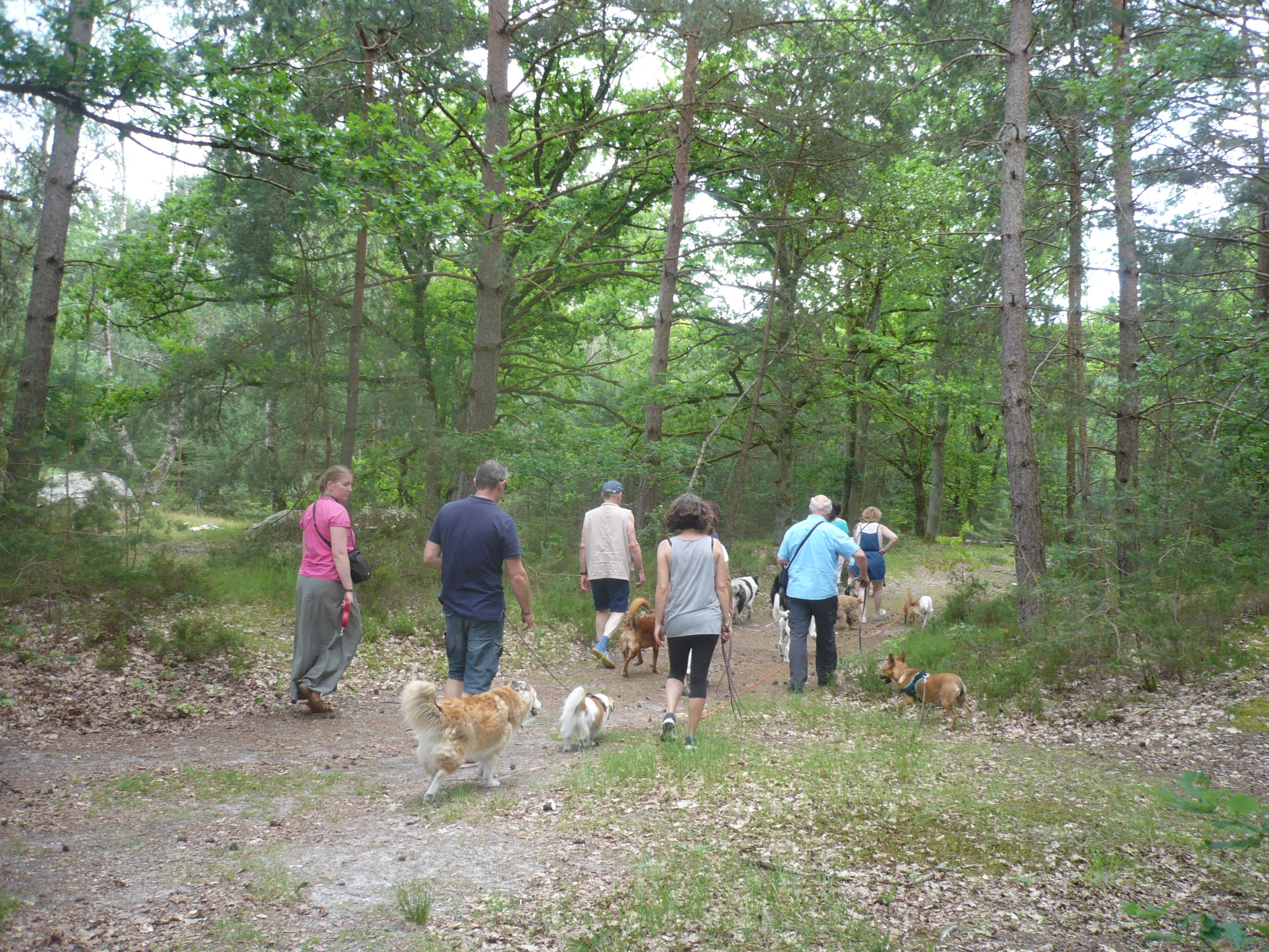 RETROUVAIL* - JOURNÉE RETROUVAILLES LE SAMEDI 02 JUIN 2018 A FONTAINEBLEAU - Page 2 48lx