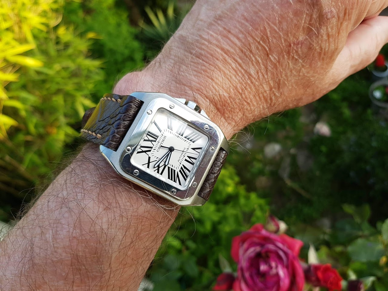Cartier Santos 100 - Page 6 Cpts