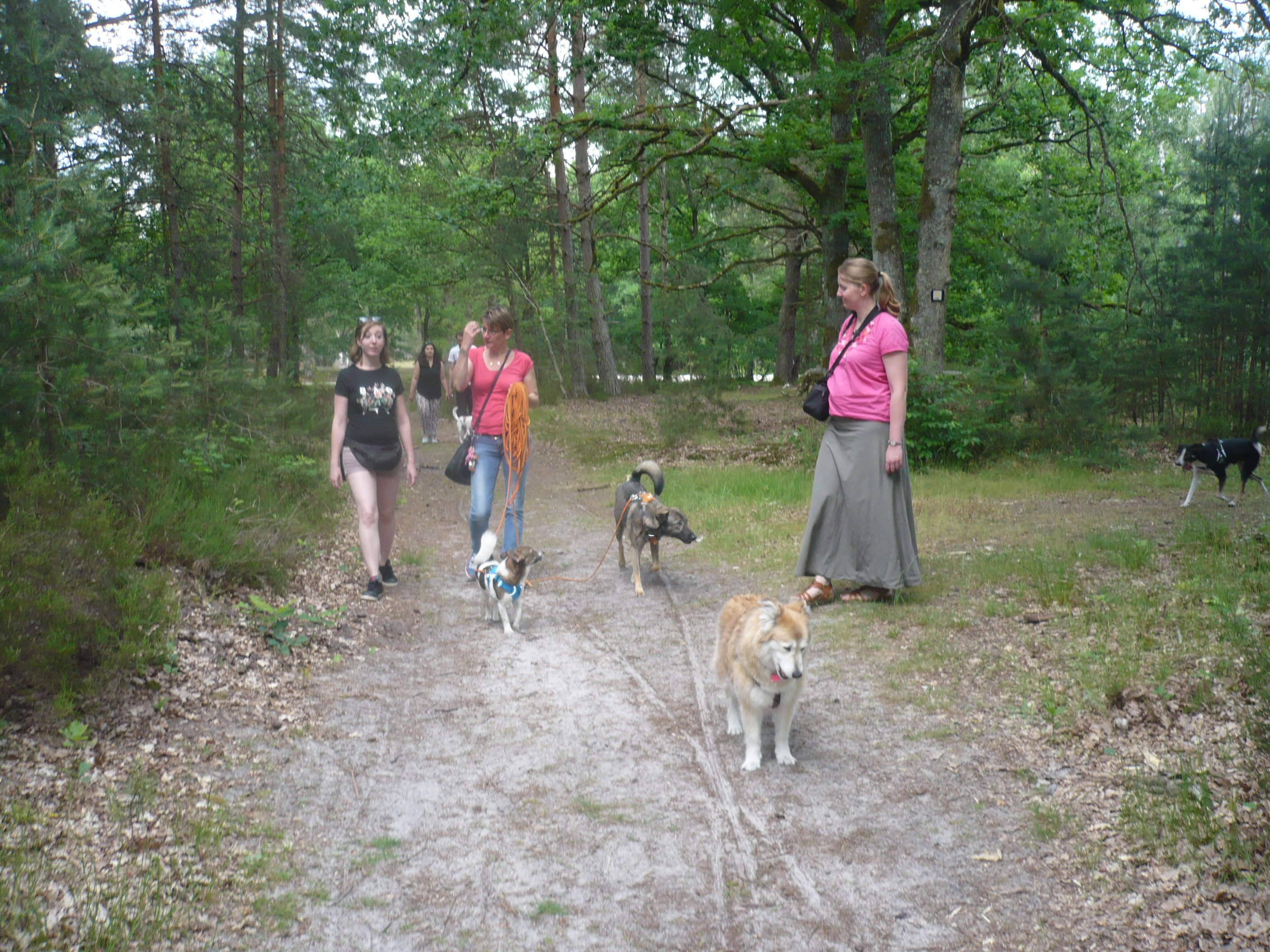 JOURNÉE RETROUVAILLES LE SAMEDI 02 JUIN 2018 A FONTAINEBLEAU - Page 2 Dsum