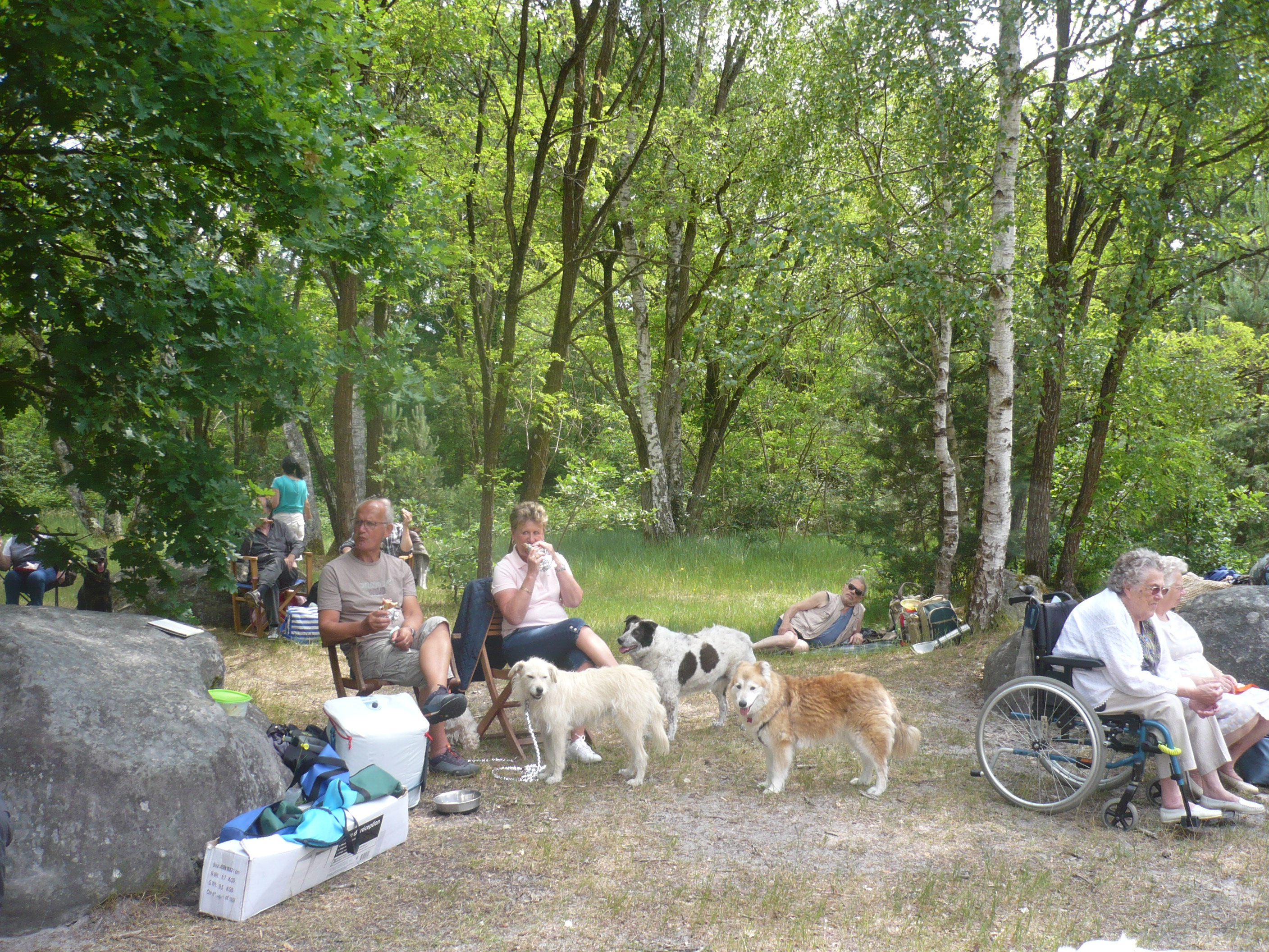 JOURNÉE RETROUVAILLES LE SAMEDI 02 JUIN 2018 A FONTAINEBLEAU - Page 2 Qpvv