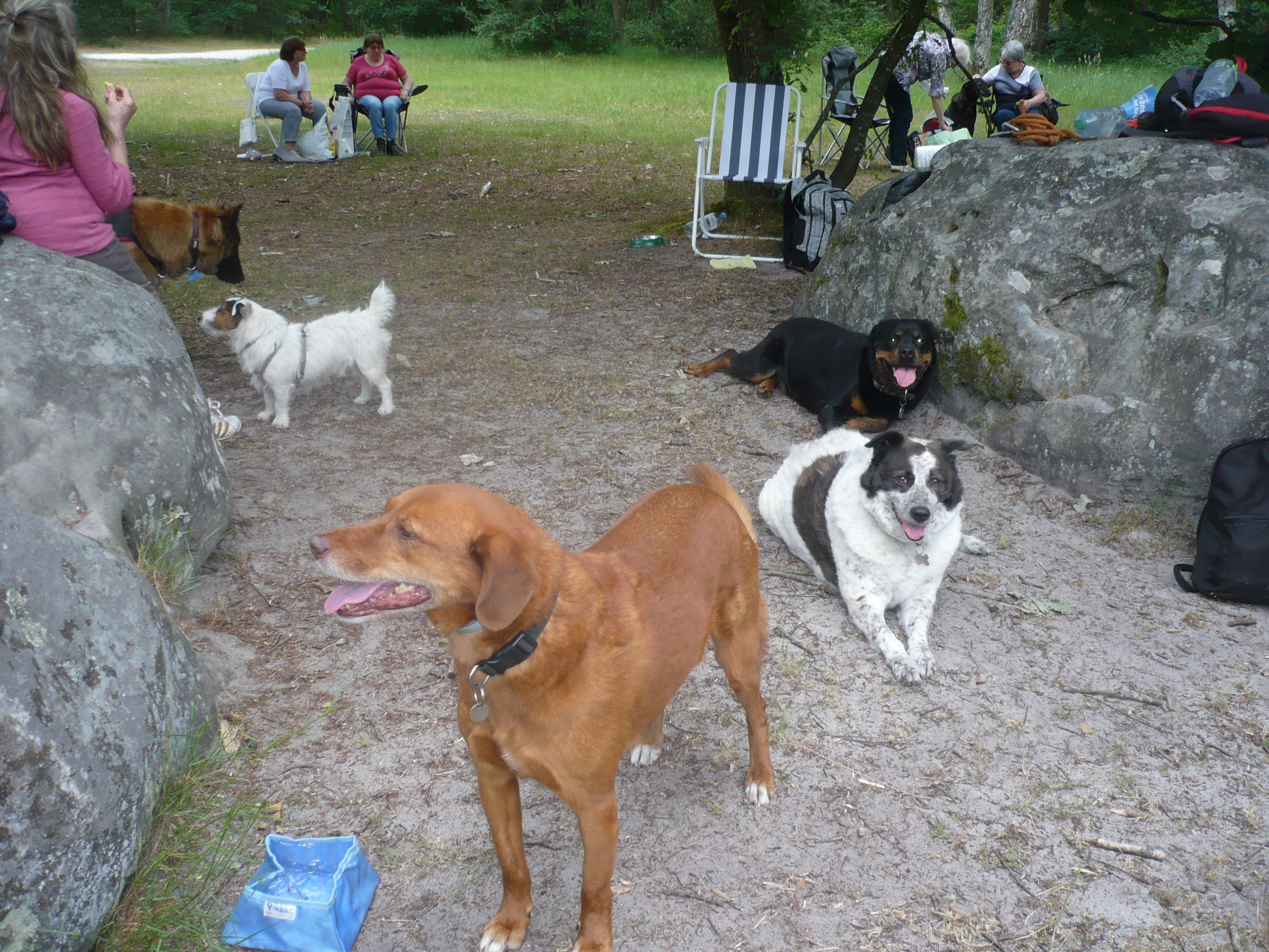 JOURNÉE RETROUVAILLES LE SAMEDI 02 JUIN 2018 A FONTAINEBLEAU - Page 2 Xp1a