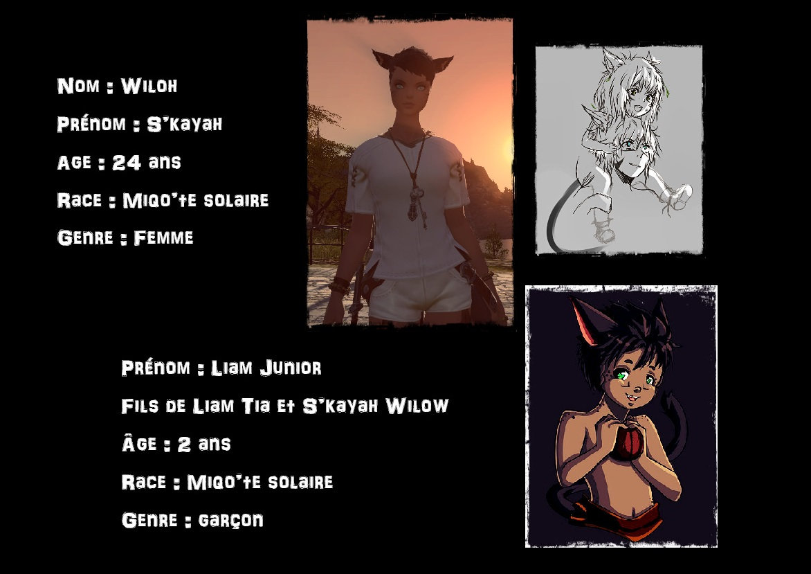 Fiche personnage L4aa