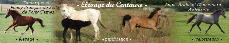 image utilisateur