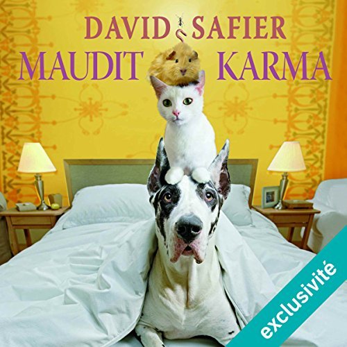 [ Livre Audio] Maudit karma David Safier