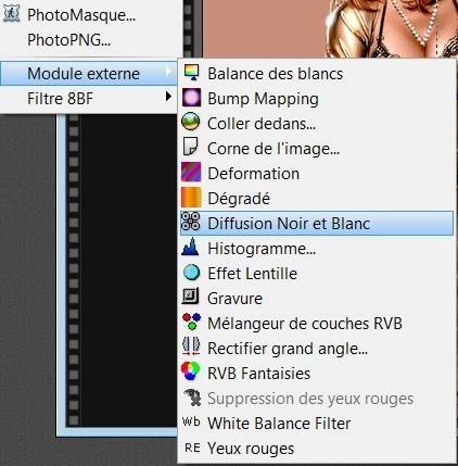  A.B.C Filtre Module externe ""Diffusion Noir et Blanc " 9g8o
