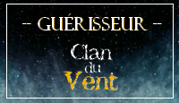 Guérisseur du Clan du Vent