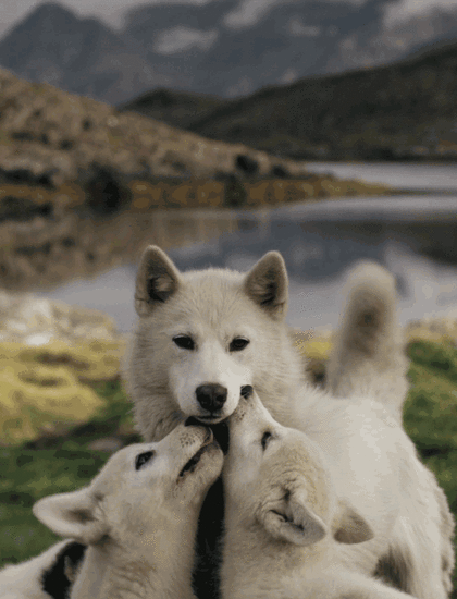 https://zupimages.net/up/18/34/c1bi.gif