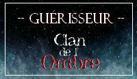 Guérisseur du Clan de l'Ombre