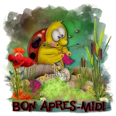 LES " BON APRÈS-MIDI" 3gfd