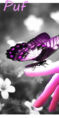 Souffle du Papillon // Guerrière - Ombre // ♀ [en cours de création] Vf2l