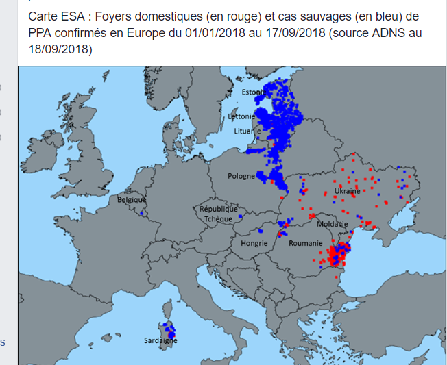 Peste porcine : On est en plein dedans !!! - Page 10 3f21