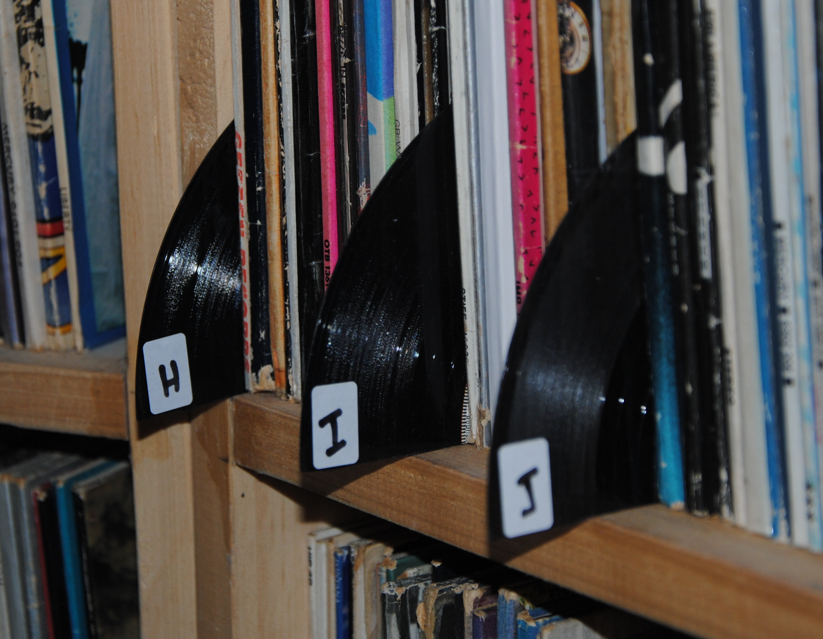 Comment classez/triez vous vos vinyles ? - Le Café de Vinyls-collection -  Le Forum 