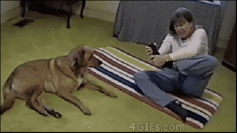 https://zupimages.net/up/18/40/f72y.gif