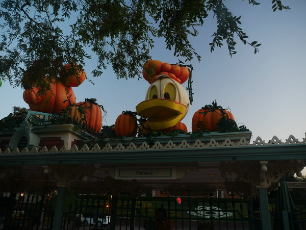 halloween - Disneyland Universal et quelques bonus pour Halloween - Page 3 2hw3