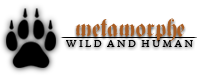 MétamorpheSolitaire ♦ Oméga