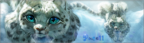 7clf.png