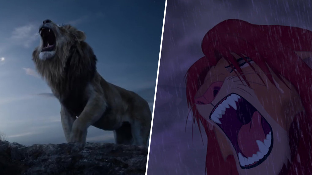 Le Roi Lion : la comparaison entre la version live et le film d'animation Cz0h