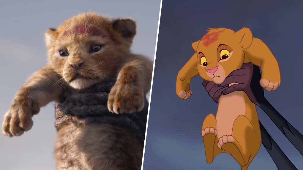 Le Roi Lion : la comparaison entre la version live et le film d'animation G8eh