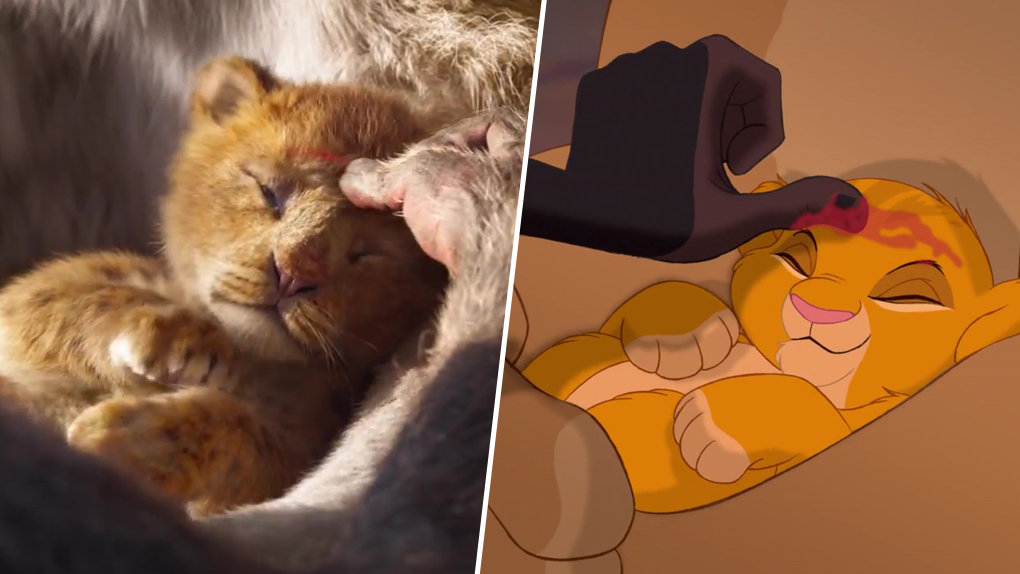 Le Roi Lion : la comparaison entre la version live et le film d'animation I55g
