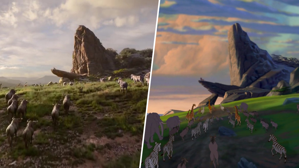 Le Roi Lion : la comparaison entre la version live et le film d'animation S9ki