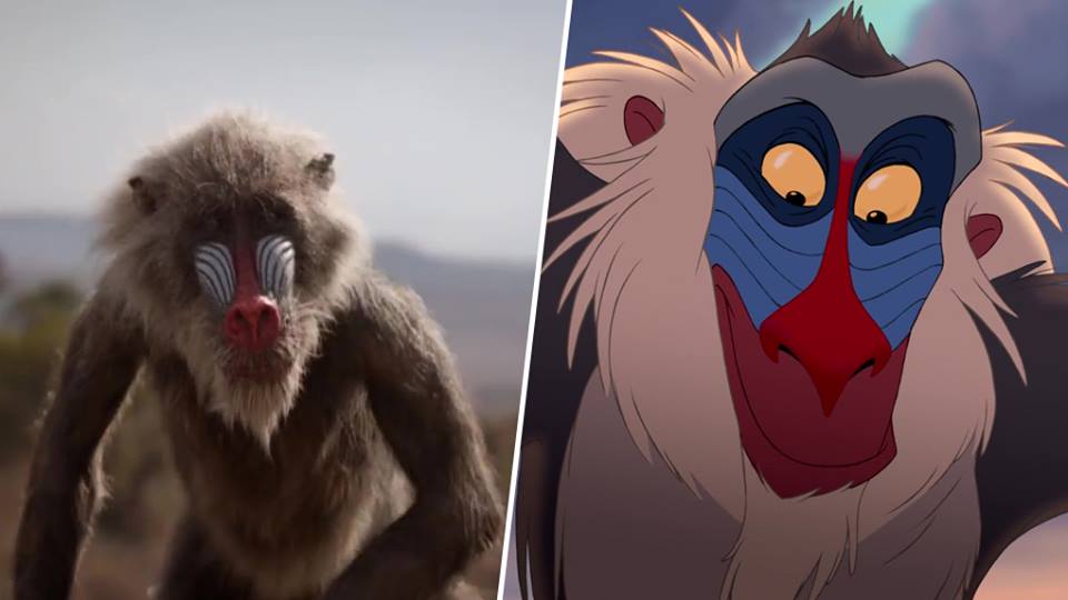 Le Roi Lion : la comparaison entre la version live et le film d'animation Sdqq