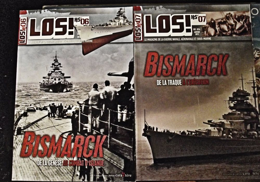 Bismarck Revell 1/350 5d1m