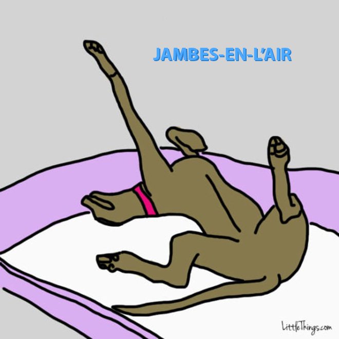https://zupimages.net/up/18/50/2gjk.jpg