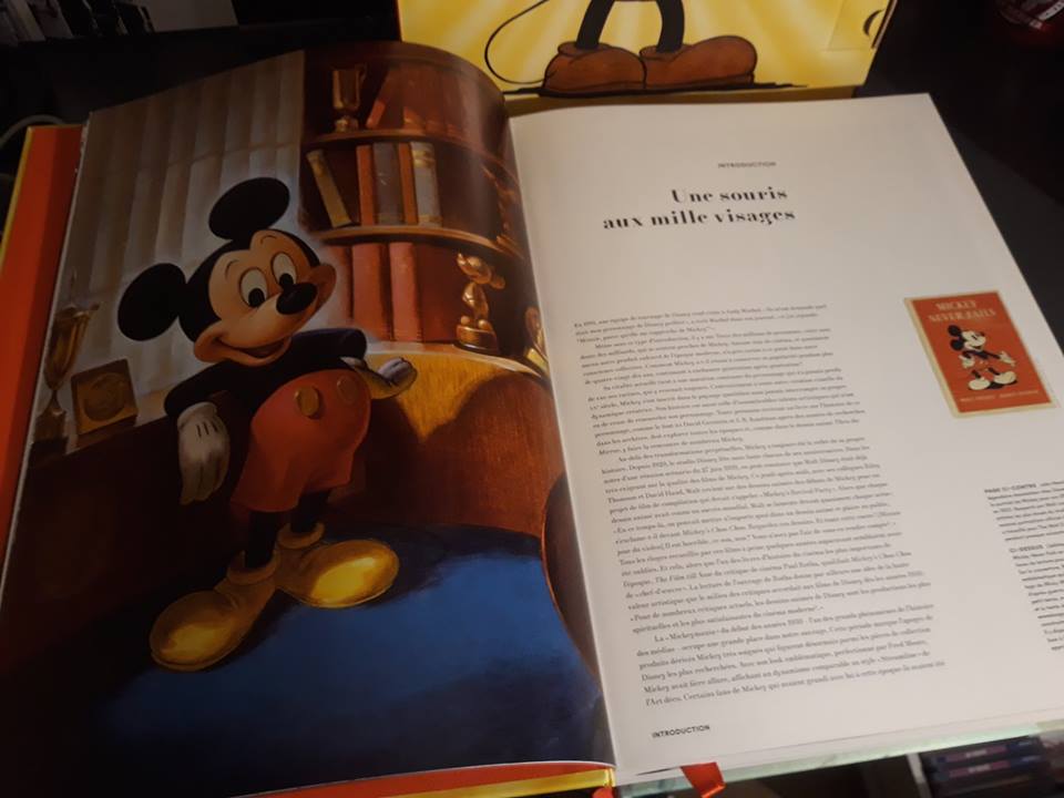 Les livres sur l'univers Disney ... et autres ....  - Page 10 Elga