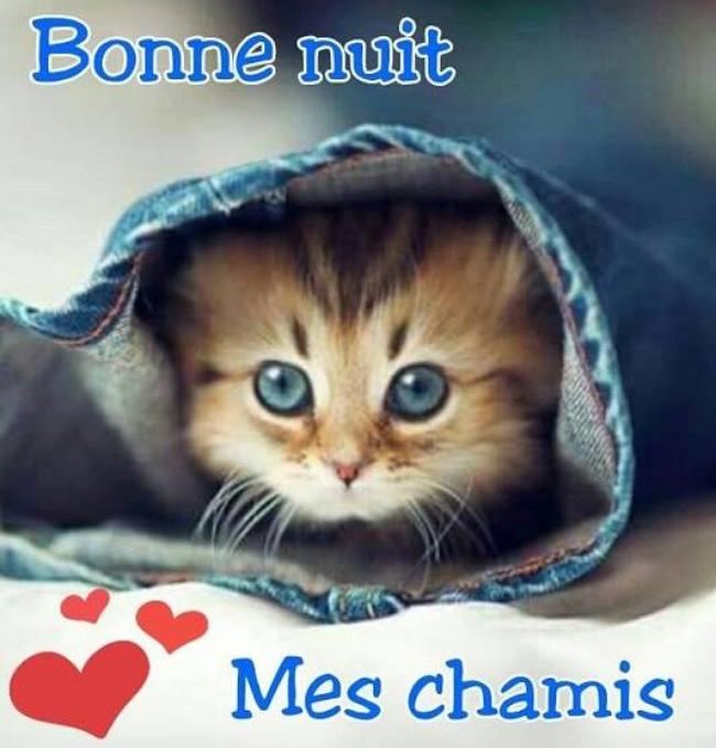 https://zupimages.net/up/18/51/0wb2.jpg