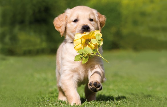 https://zupimages.net/up/18/51/1nxx.jpg