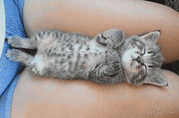 https://zupimages.net/up/18/51/6xkb.gif