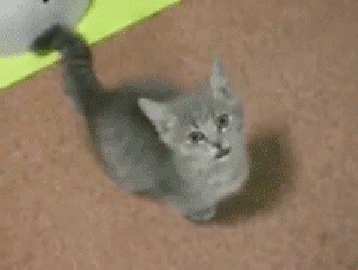 https://zupimages.net/up/18/51/bcws.gif
