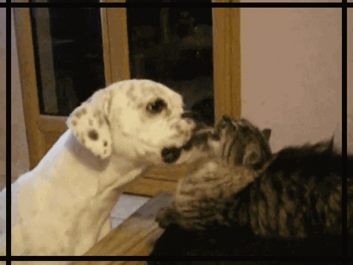 https://zupimages.net/up/18/51/muz4.gif
